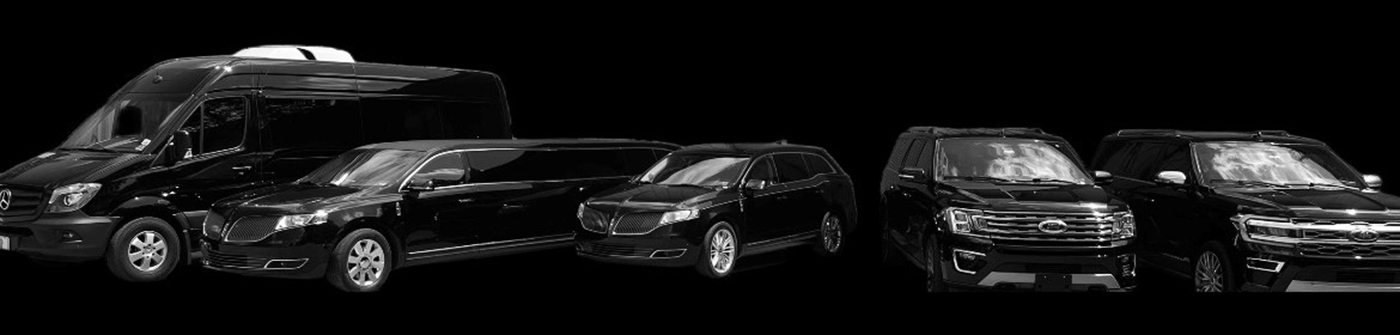  6-Passenger Luxury Vehicle - Blue Ribbon Transportation